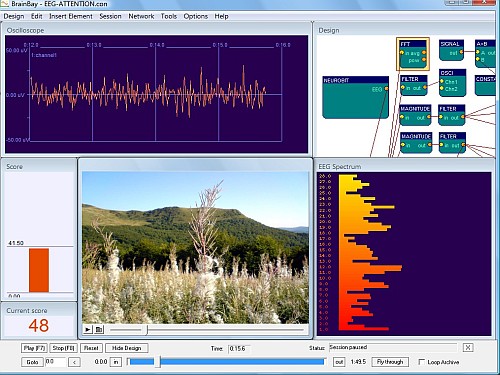 Neurobit Lite mit BrainBay Software