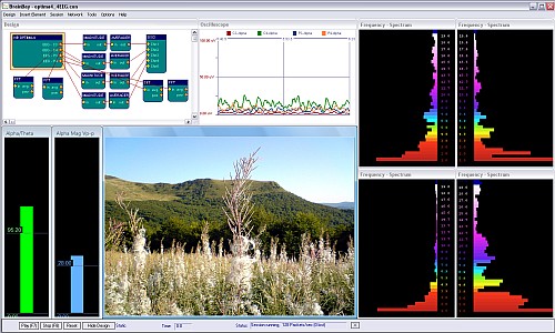 Neurobit Optima 4 with BrainBay software