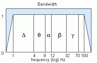 Neurobit Lite EEG equipment bandwidth